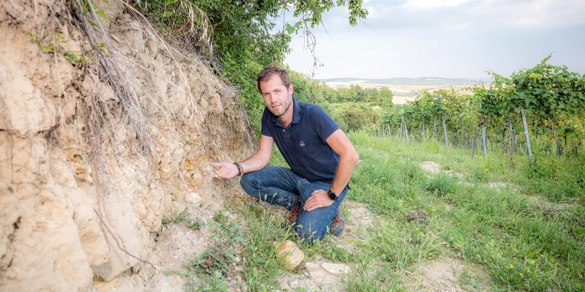 	„Wagram“ kommt von „Wogenrain“, was so viel wie „Meeresufer“ bedeutet: Ablagerungen des Urmeeres und Flussschotter prägen die malerische Landschaft der mächtigen Geländestufe.